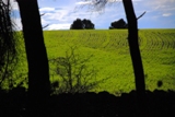 Clicca qui per vedere l'immagine in dettaglio